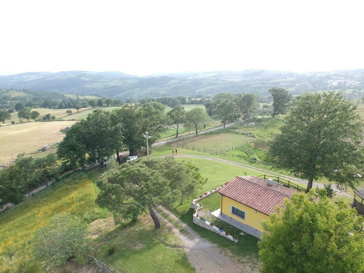 Villa Matilde 카타비오 외부 사진